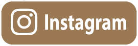 Instagram Page
